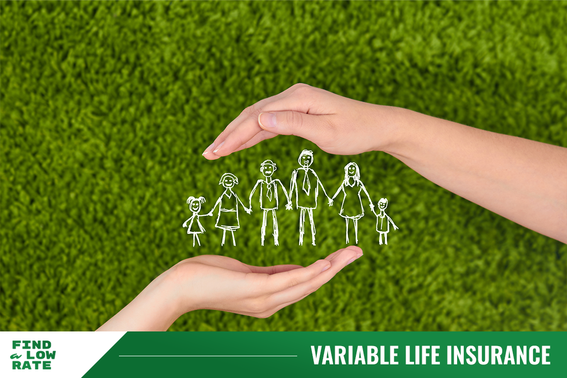 Variable Life Insurance